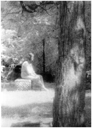 Năm 1991, bức ảnh “Cô gái ngồi trên mộ” xuất hiện hàng loạt trên báo chí Mỹ trong đó có cả những tờ báo uy tín Chicago Sun-Times và National Examiner, như minh chứng khẳng định sự tồn tại kỳ bí của một thế giới tâm linh siêu thực.